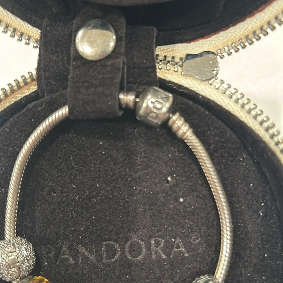 Beautiful Pandora bracket with 4 silver charms plus 4 more - Picture 8 of 9